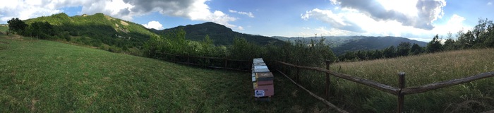CODELUPPI PAOLO AZIENDA AGRICOLA DEL BORGO — foto 5